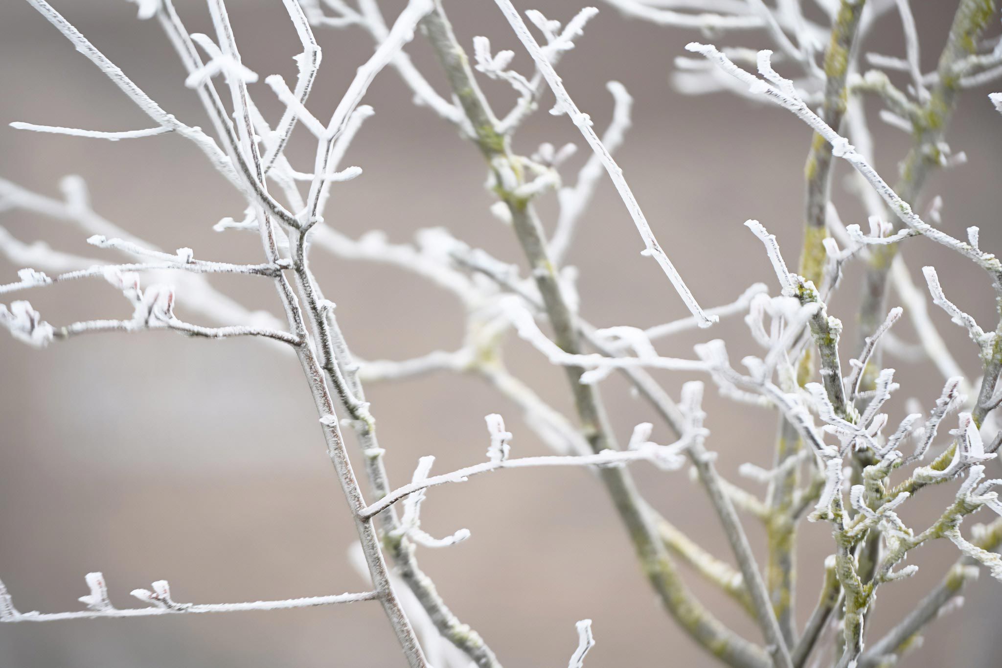Memorial Service at Lea Fields Crematorium