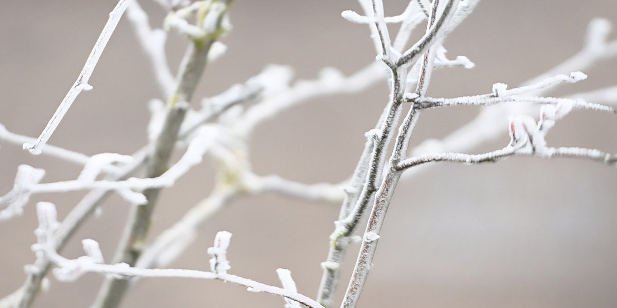 Read Memorial Service Coverage News