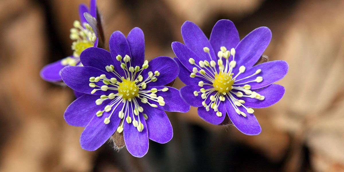 Read Easter Office Hours News