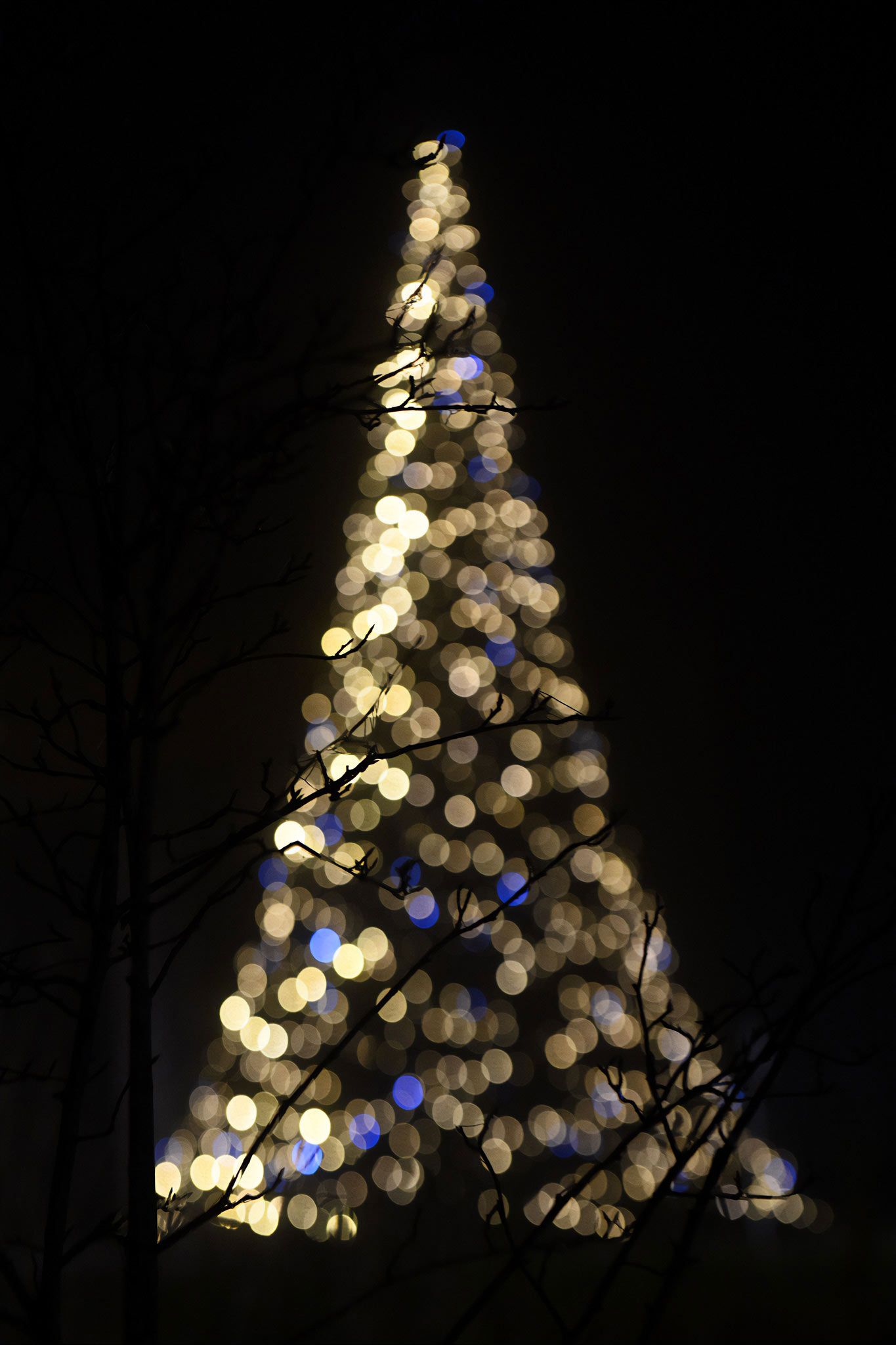 Memorial Service at Lea Fields Crematorium