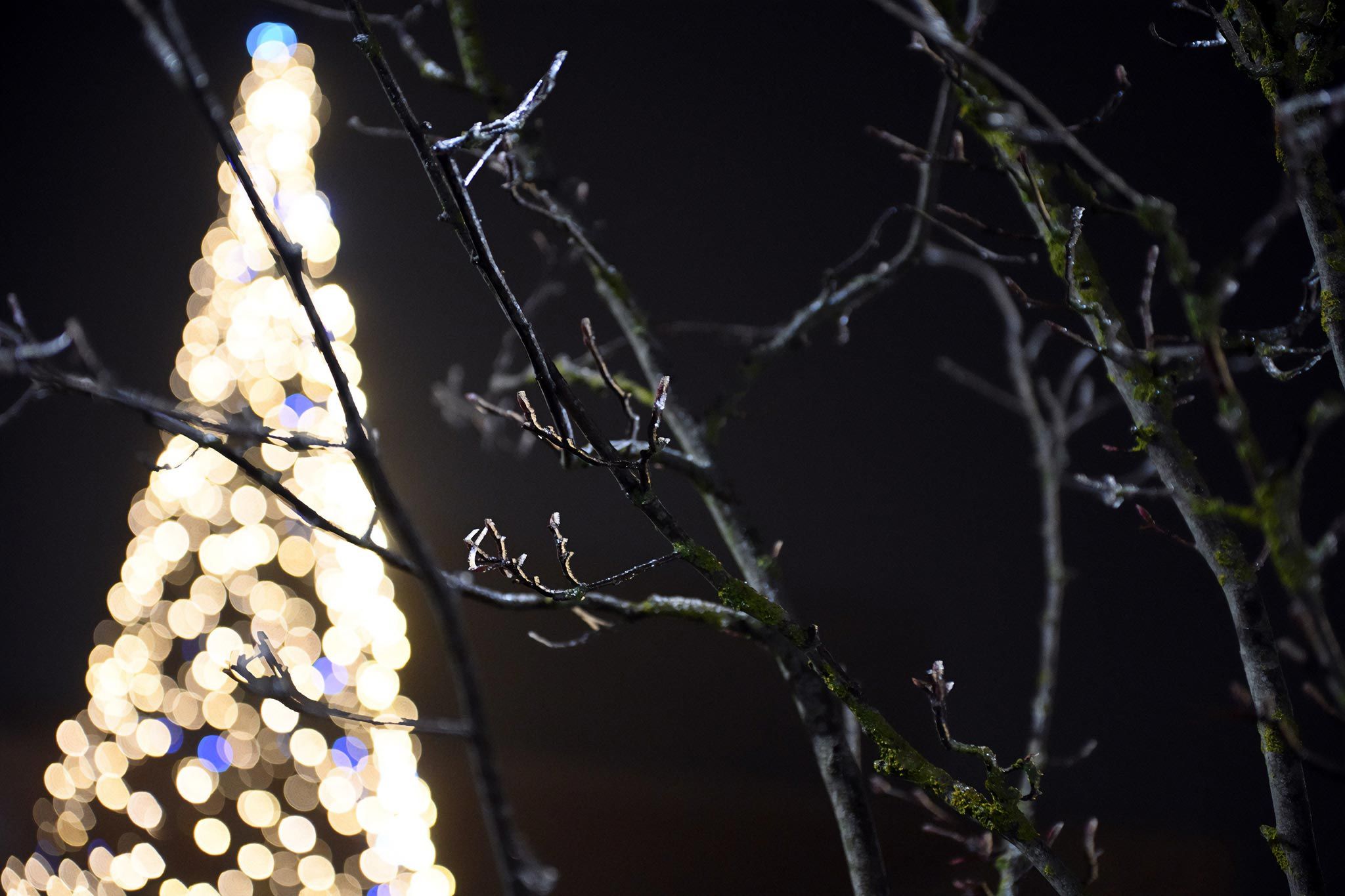 Memorial Service at Lea Fields Crematorium