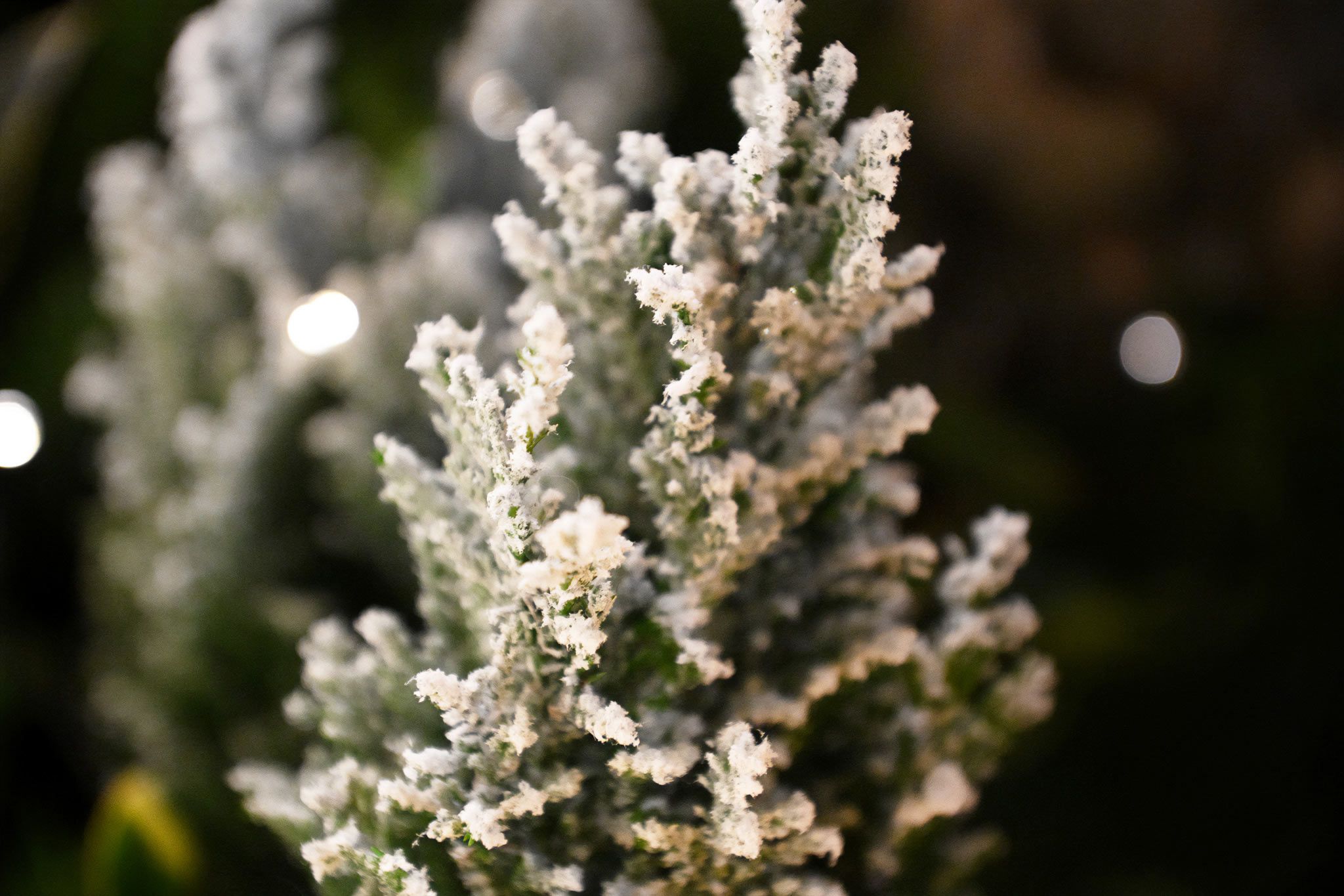 Memorial Service at Lea Fields Crematorium