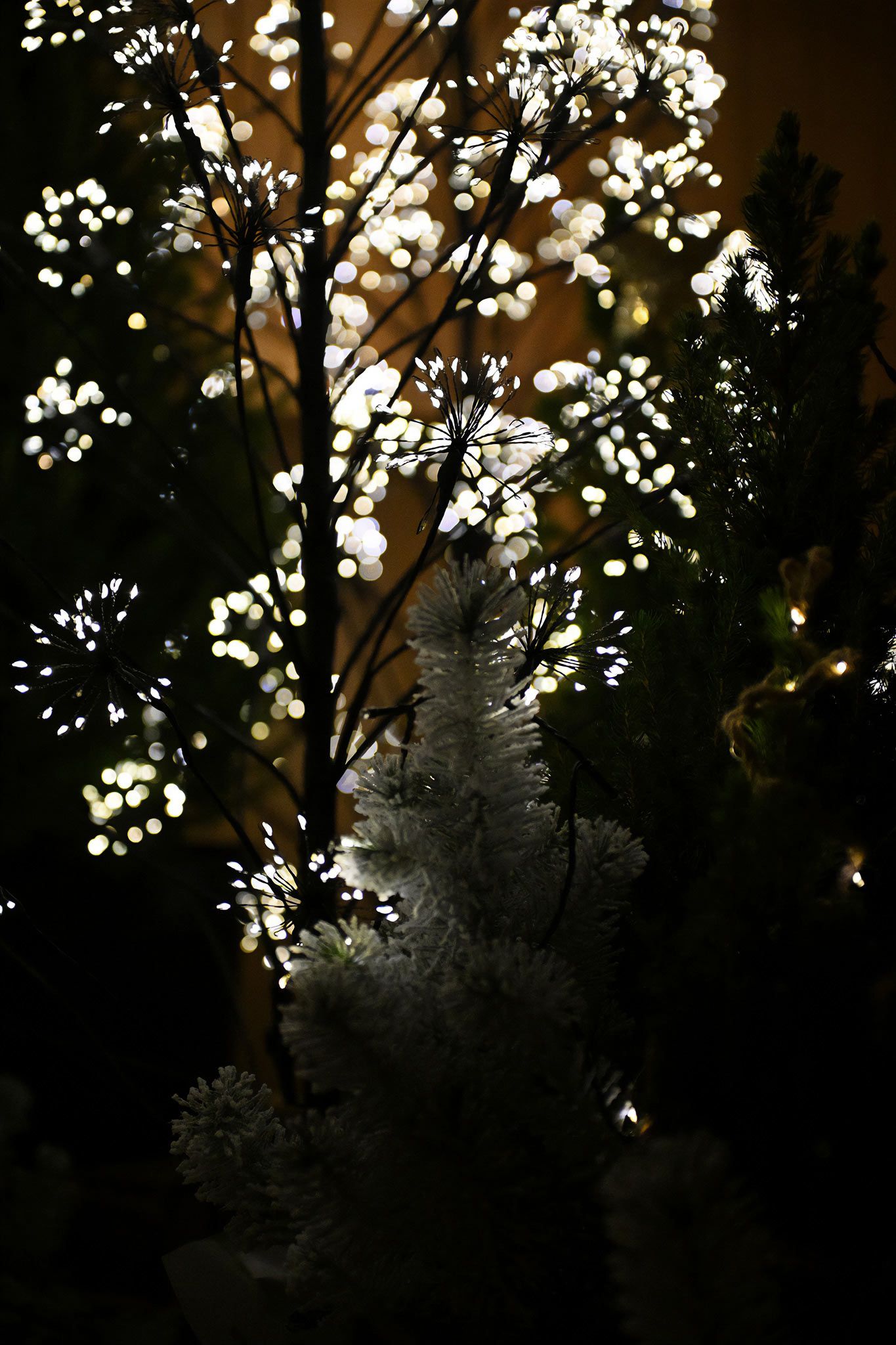 Memorial Service at Lea Fields Crematorium