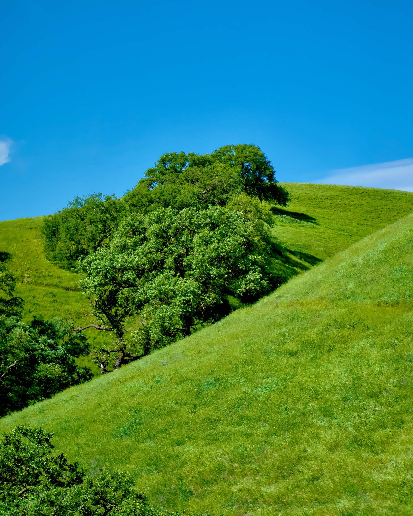 Father's Day Dedication
