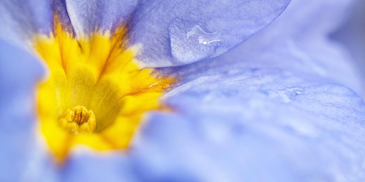 Read Mothering Sunday News