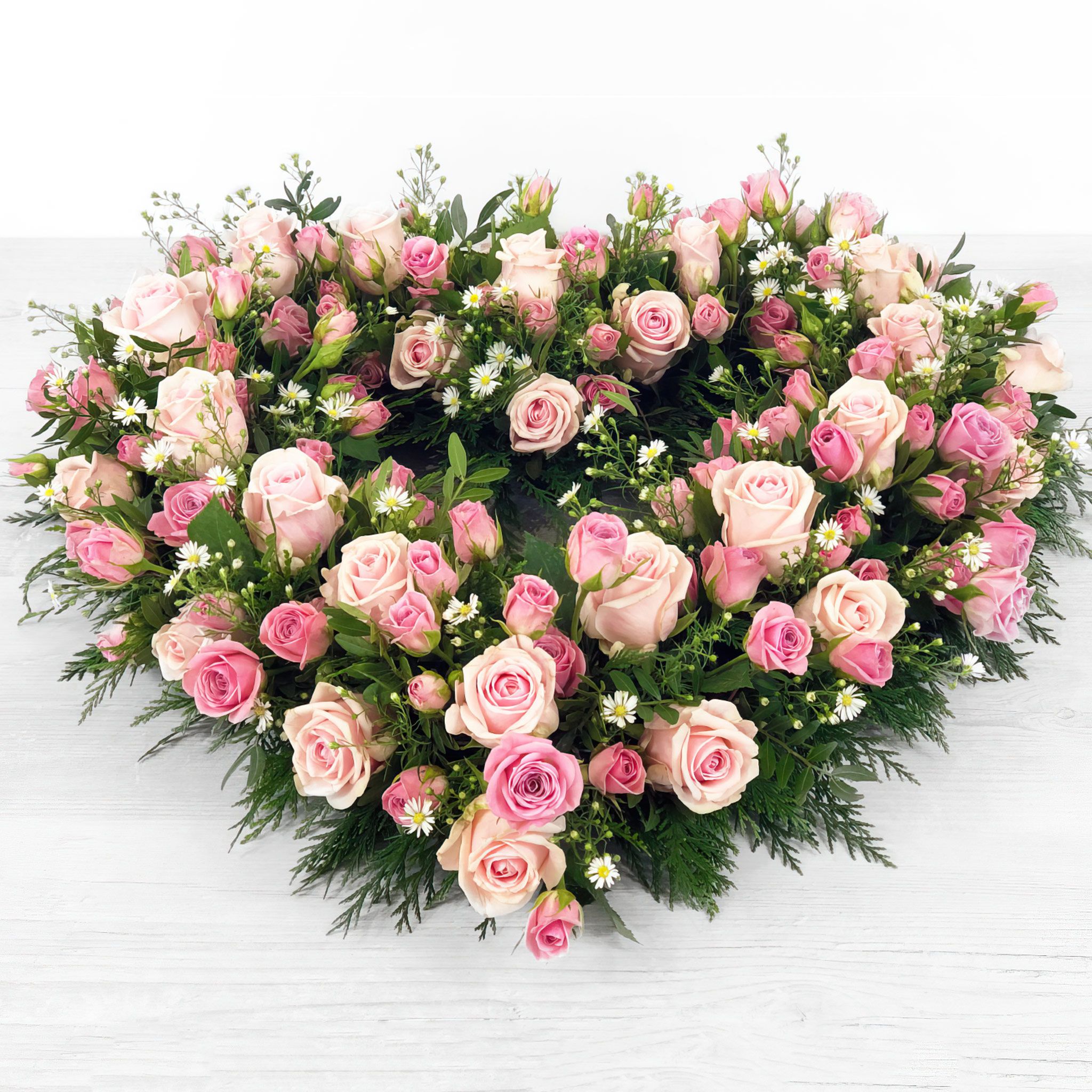 Loose Open Heart (LOH1)