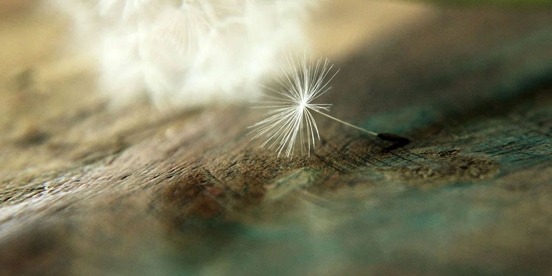 Bereavement Counselling After the Funeral