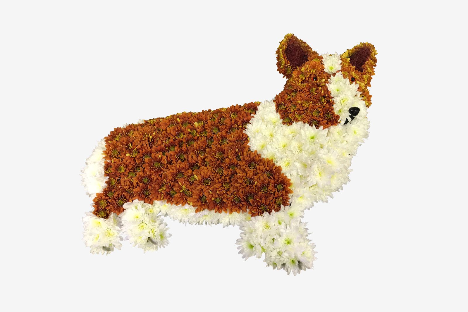Corgi Floral Tribute (BES2)