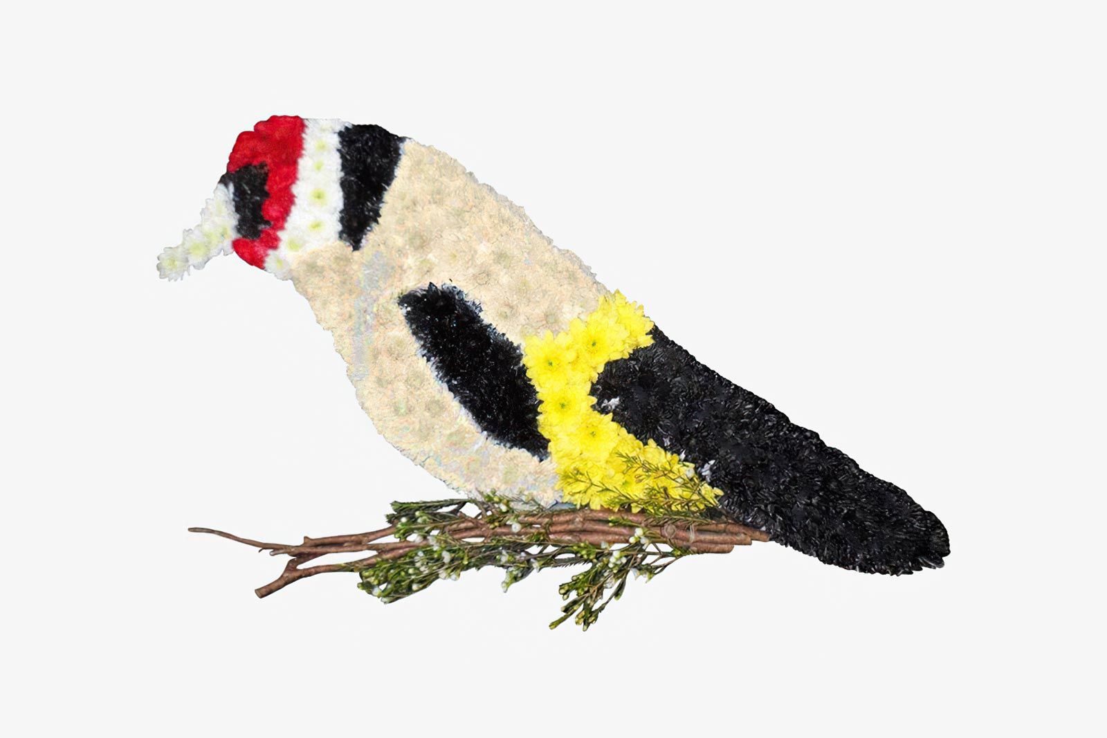 Bird Floral Tribute (BES6)