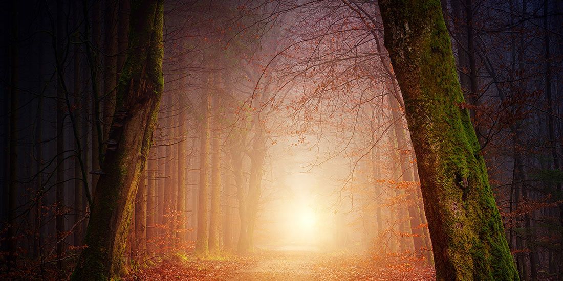 Read Brighter Times News