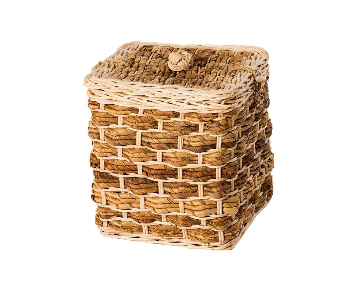 Banana Buttercup Casket