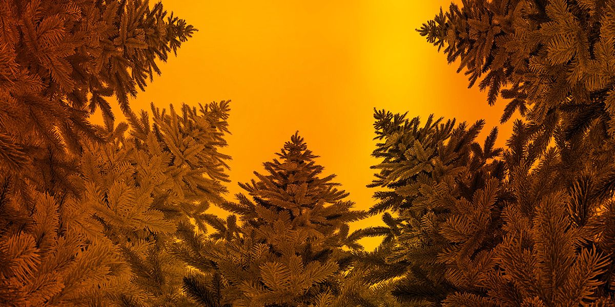 Read Christmas Hours News