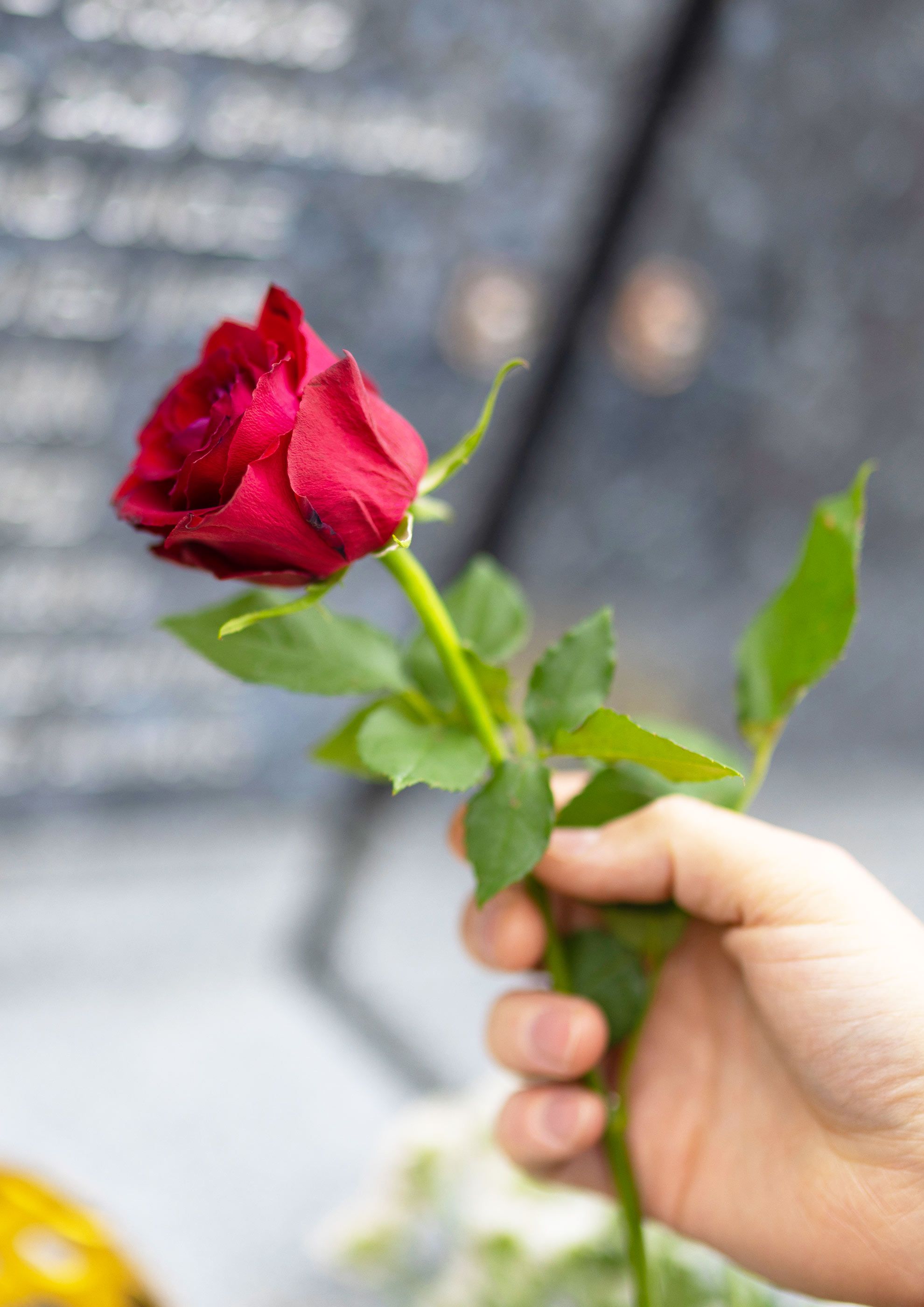 Cliff Bradley Memorials