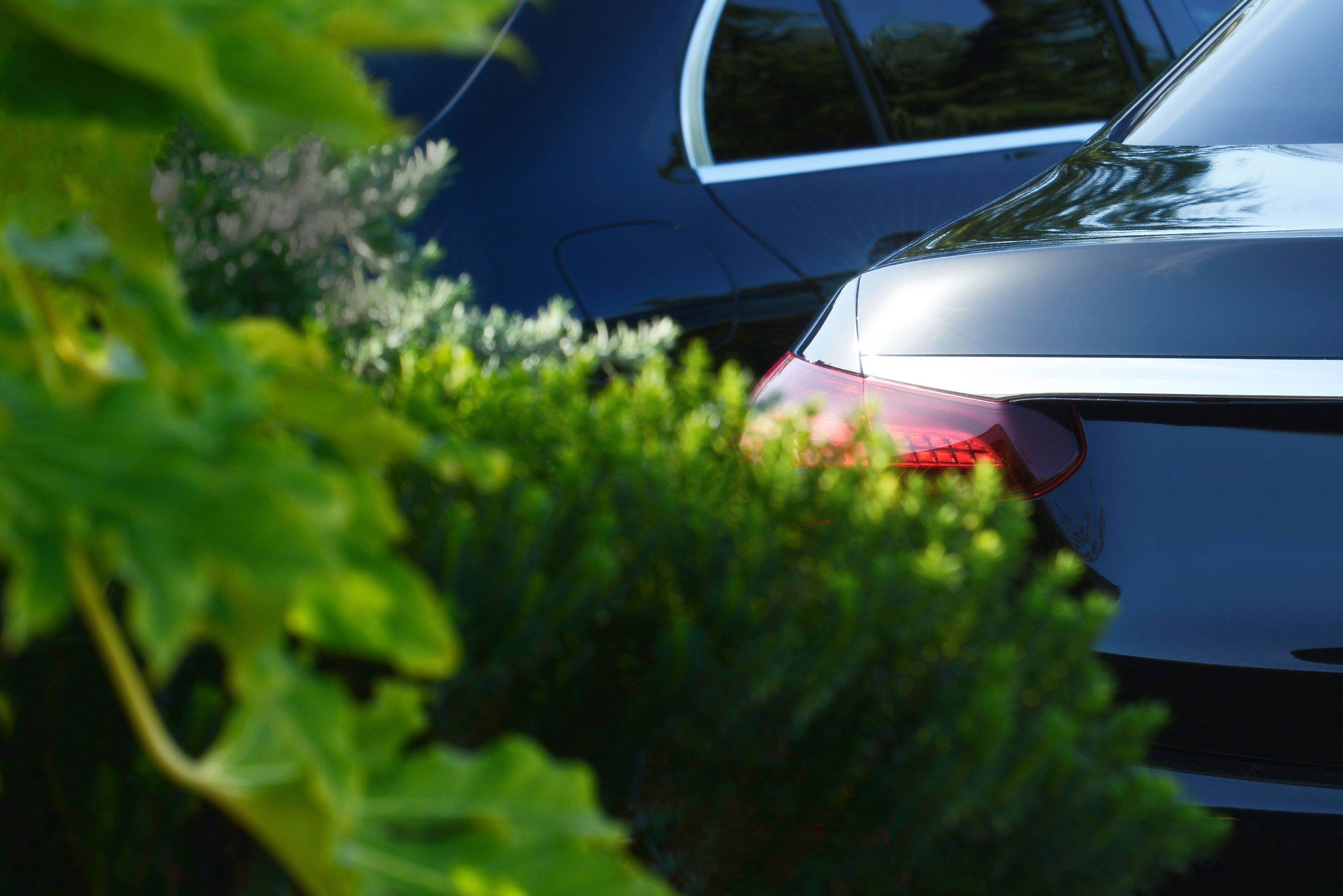 Funeral Director Privacy Terms