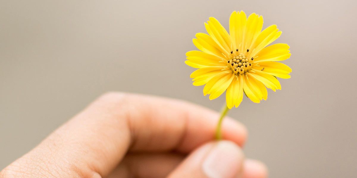 Read Easter Office Hours News