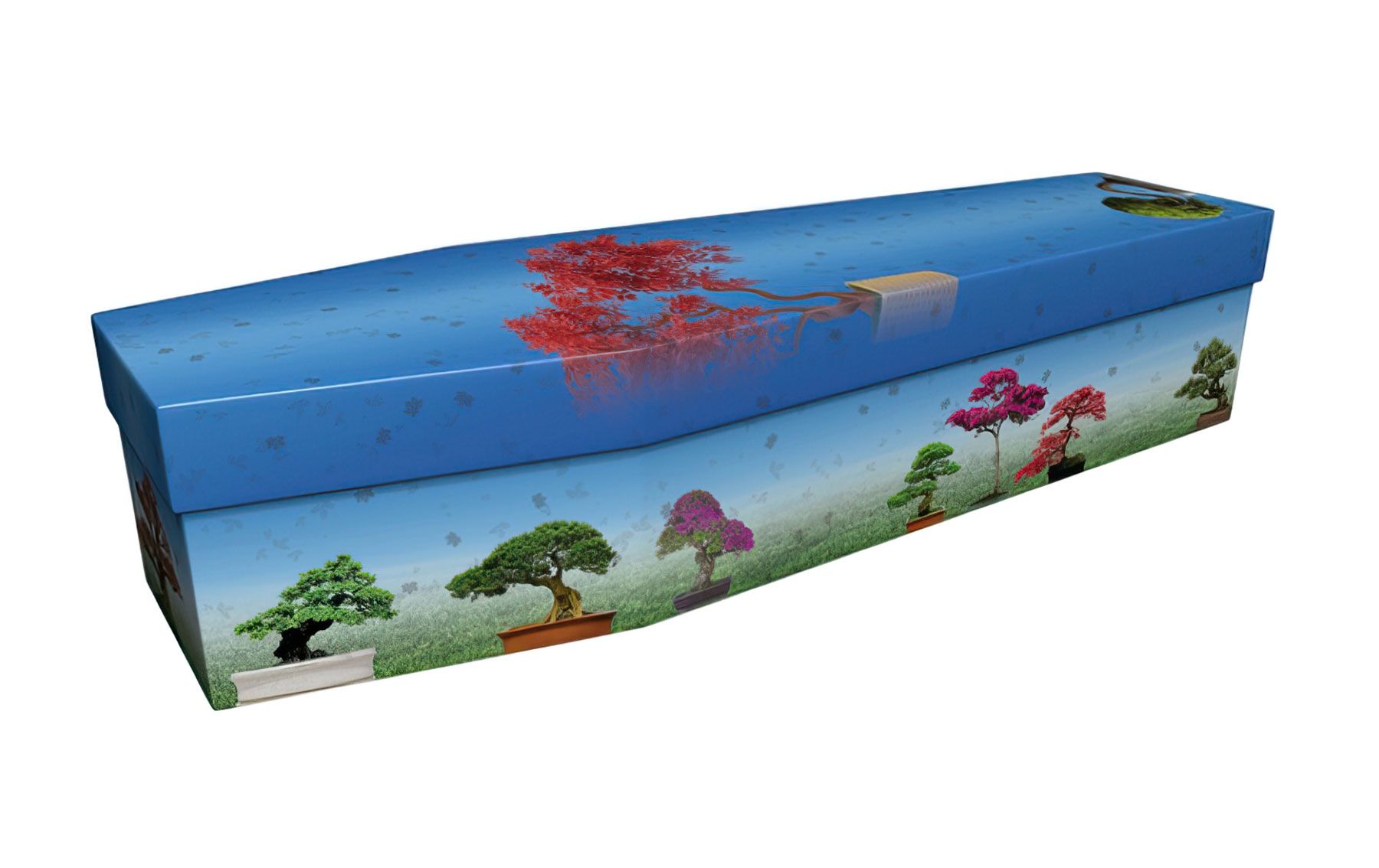 Bonsai Trees Cardboard Coffin