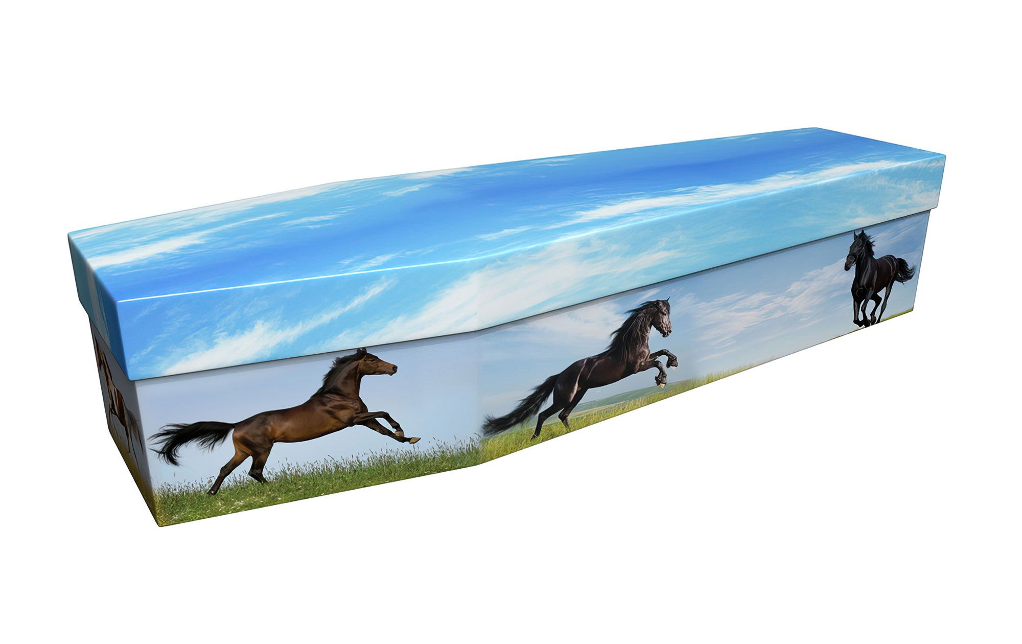 Horses Cardboard Coffin