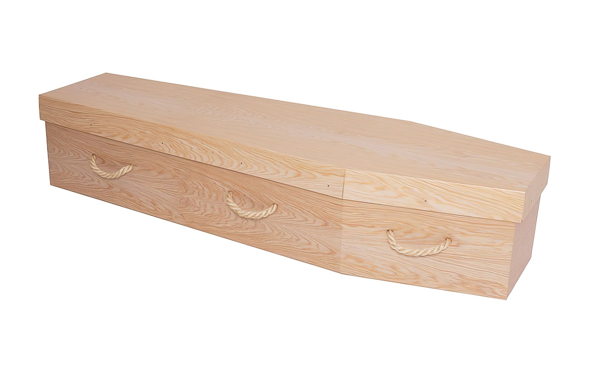 Light Oak Cardboard Coffin