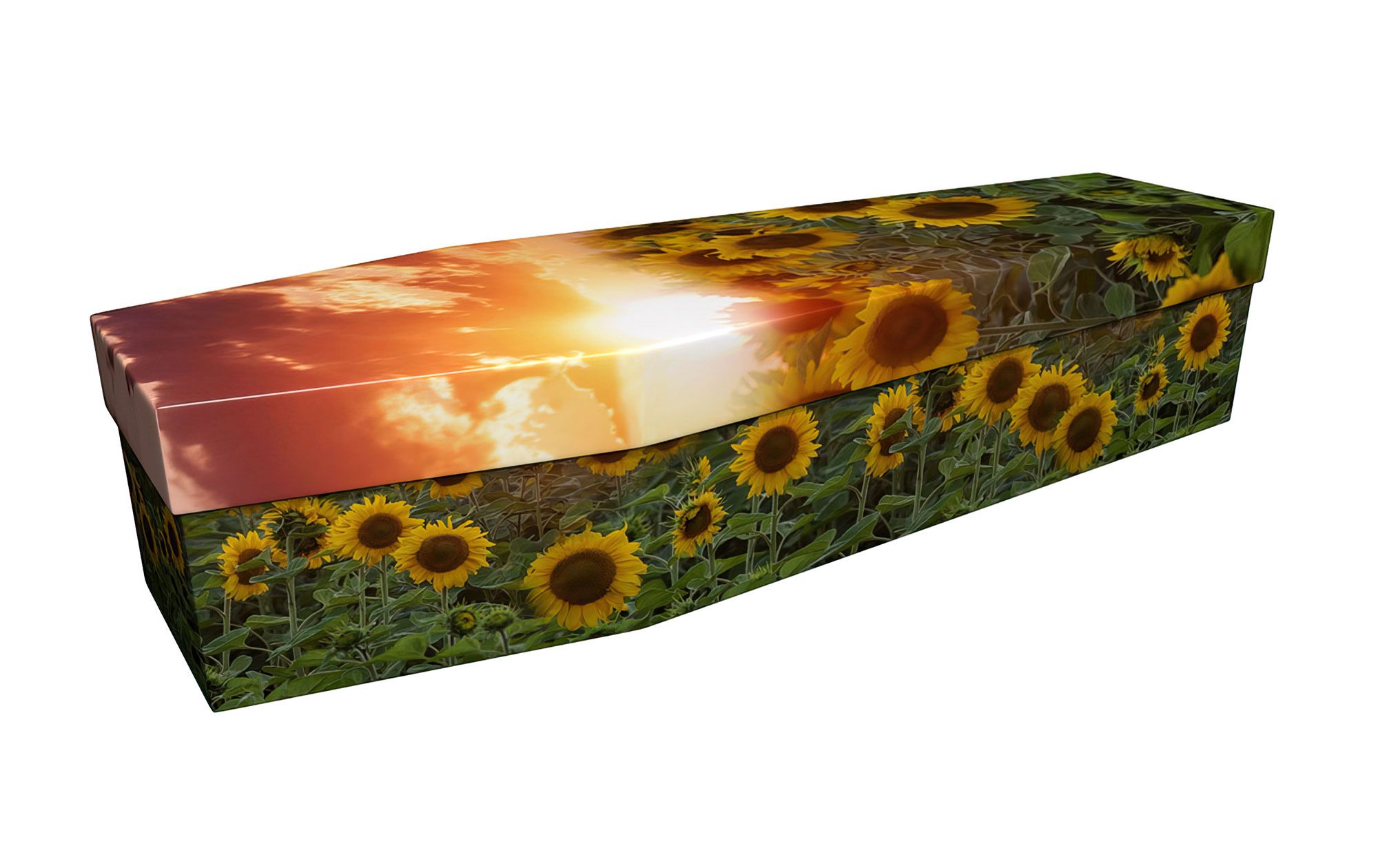 Sunflower Sunset Cardboard Coffin