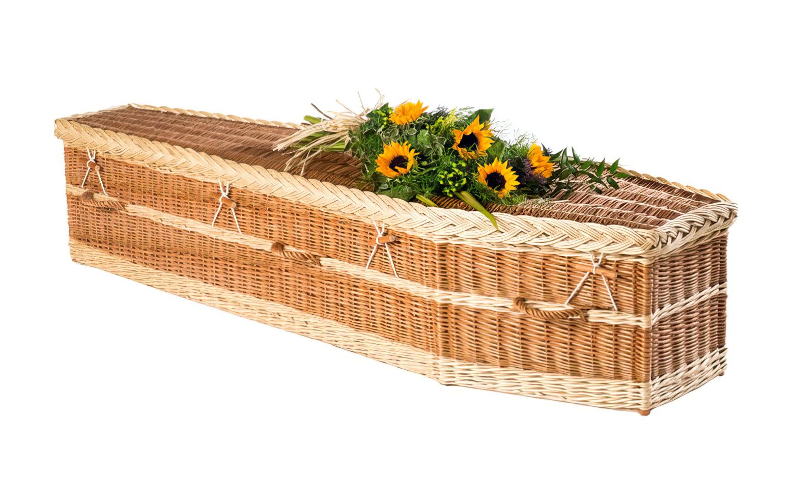 Willow Traditional Light Coffin