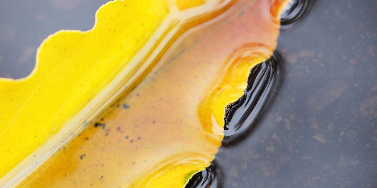 Read Essential Works News