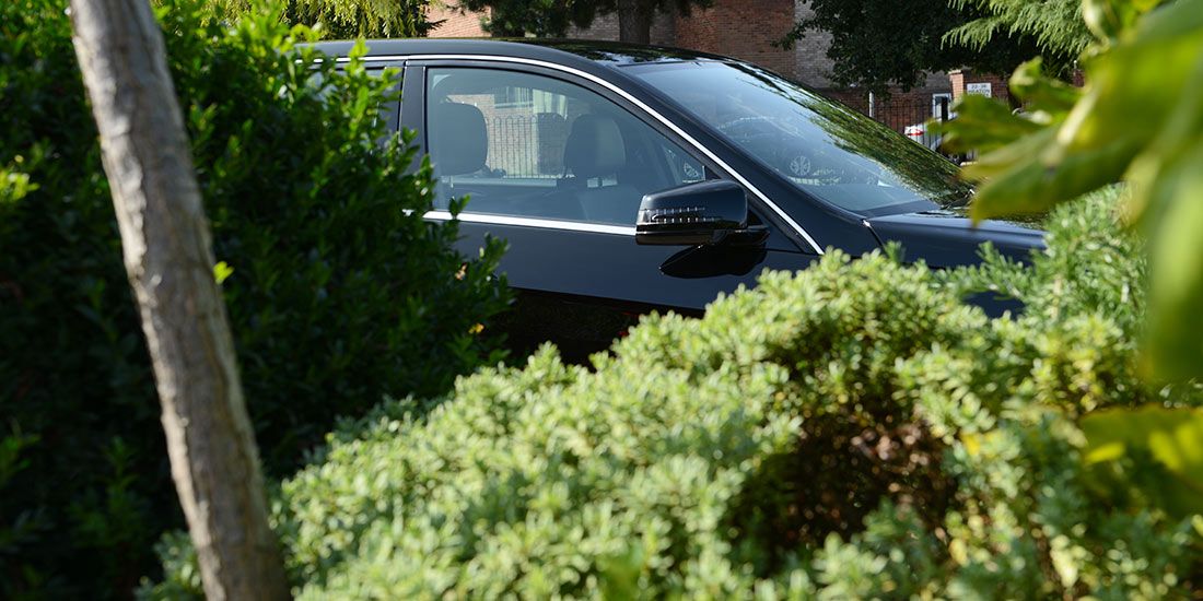 Read Current Restrictions News