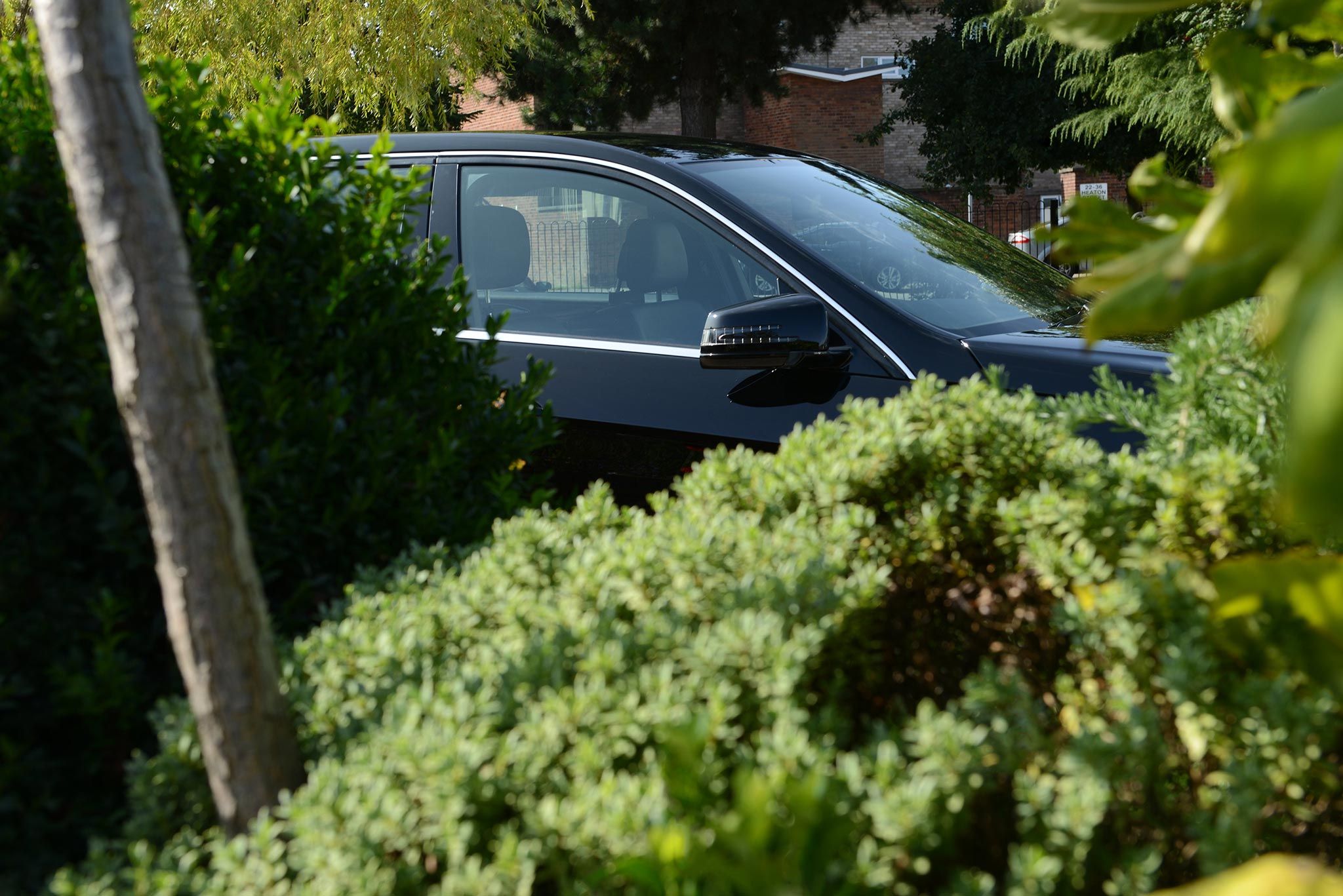 Current Restrictions