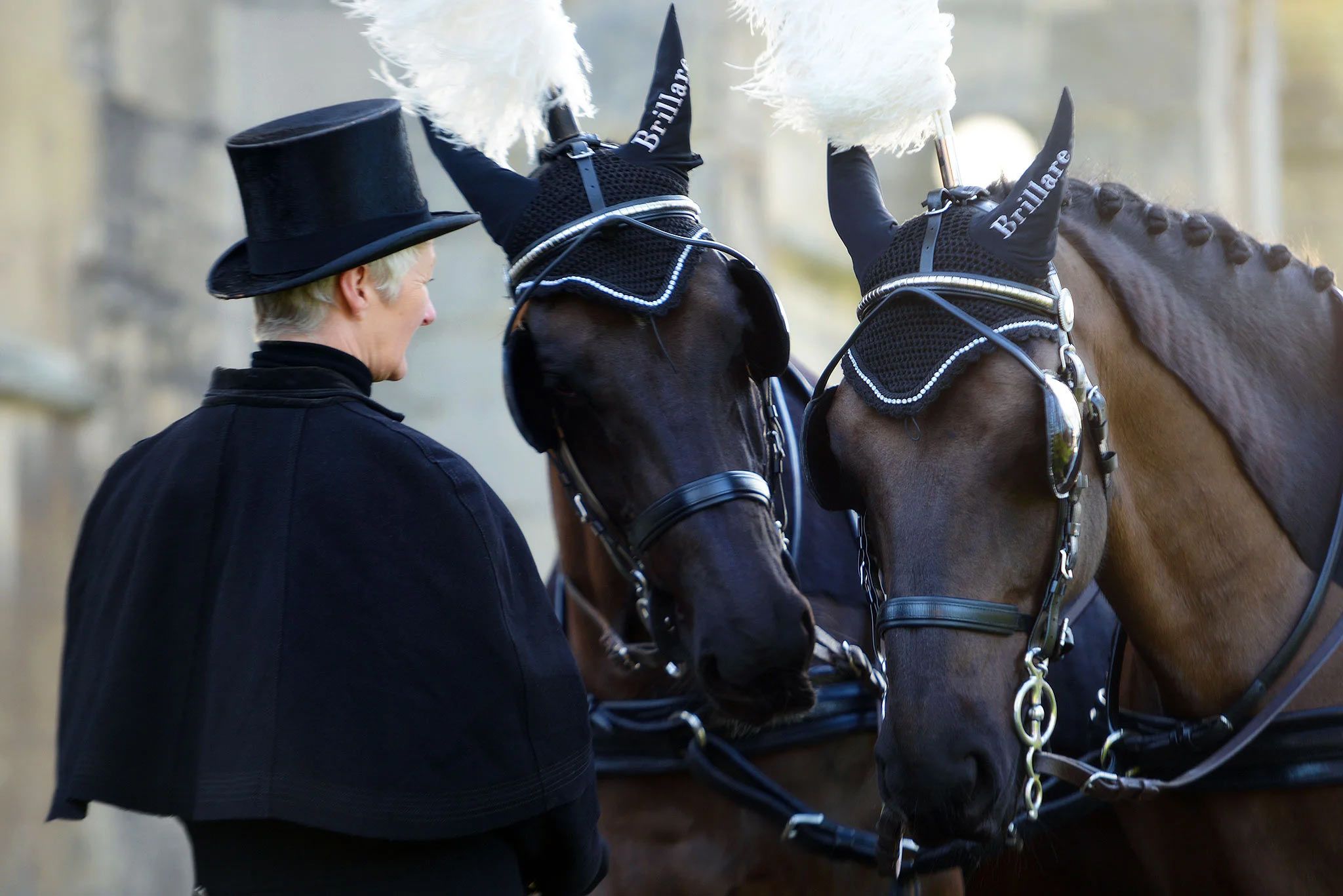 Horse Drawn Carriage Funerals