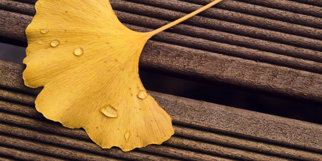 Read Funerals and Coronavirus News