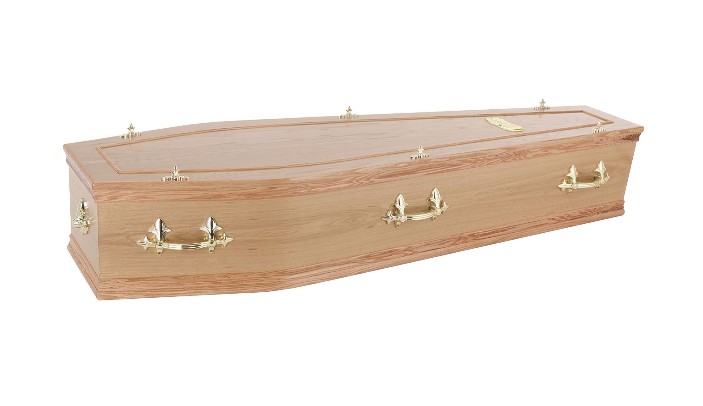 The Gainsborough Light Traditional Coffin