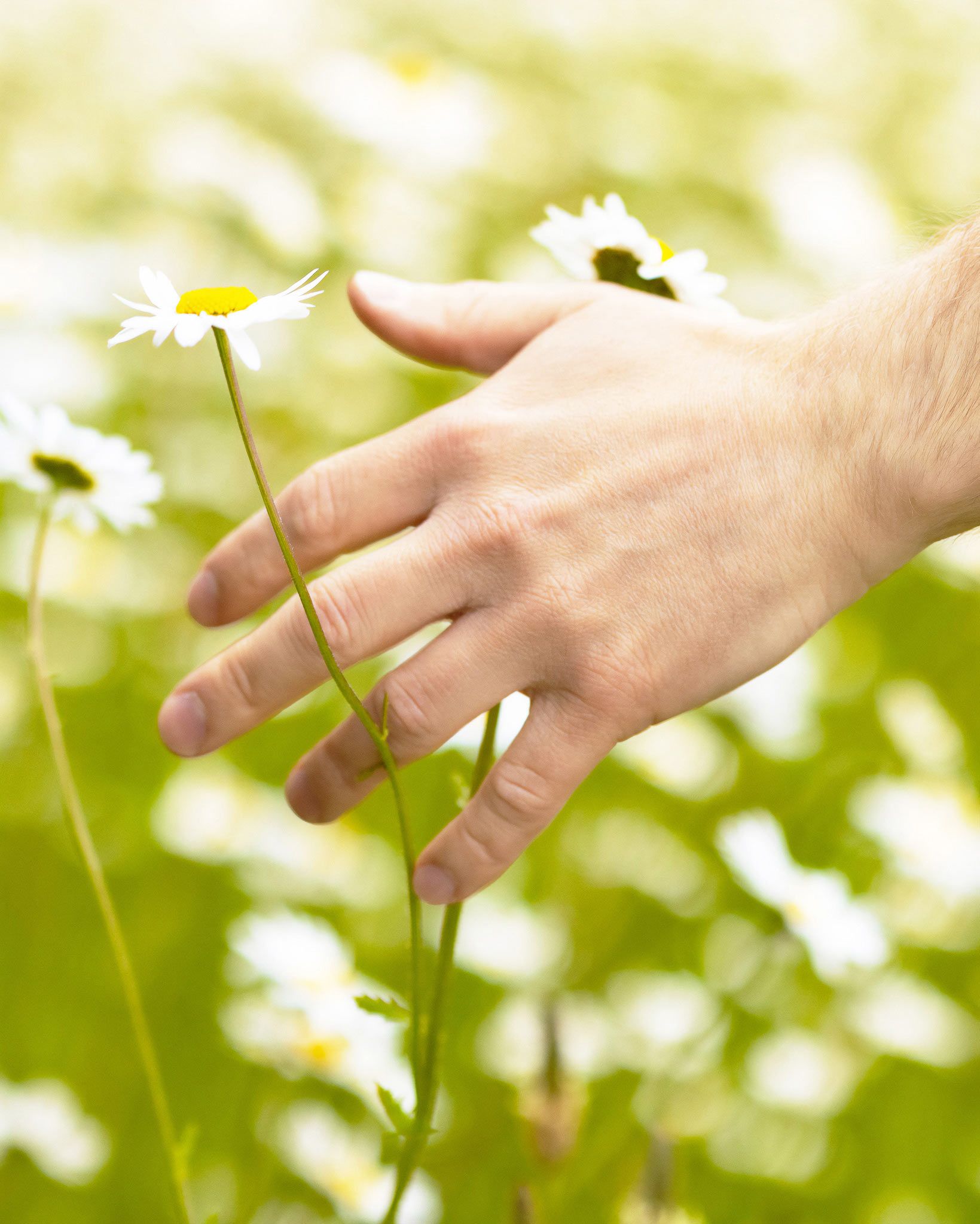 Green Funeral Directors