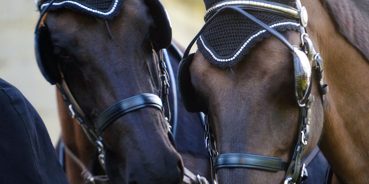 Horse Drawn Funerals