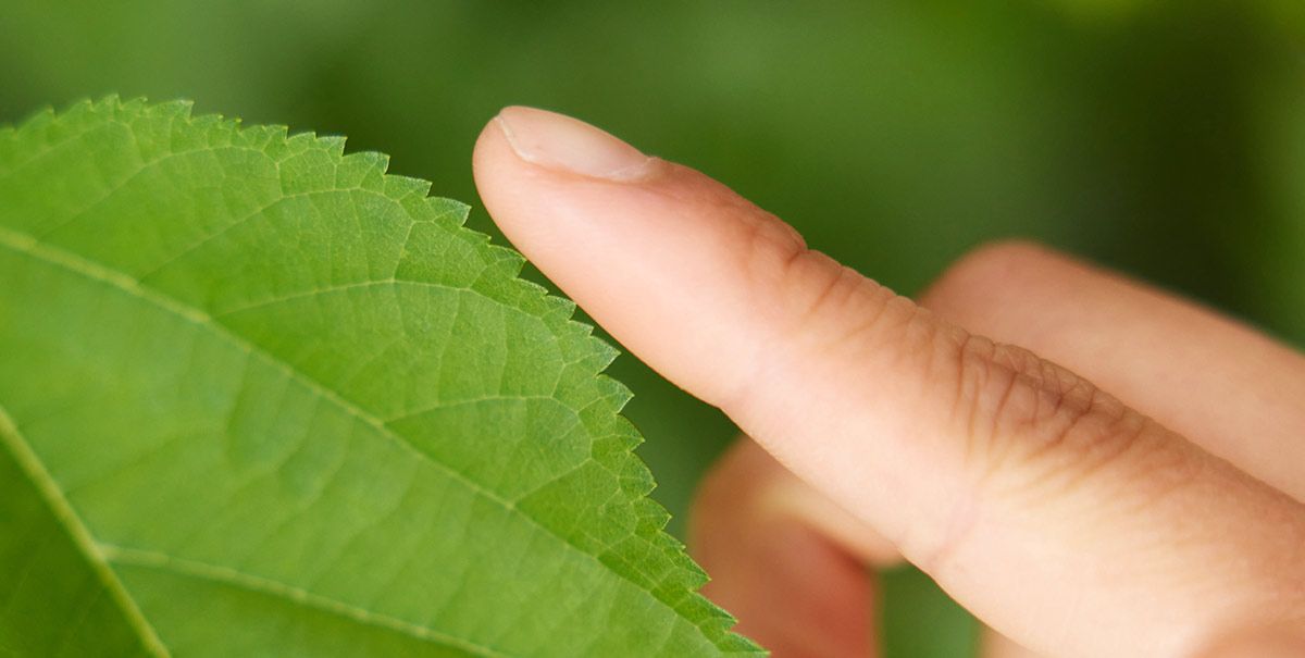 Read International Youth Day News