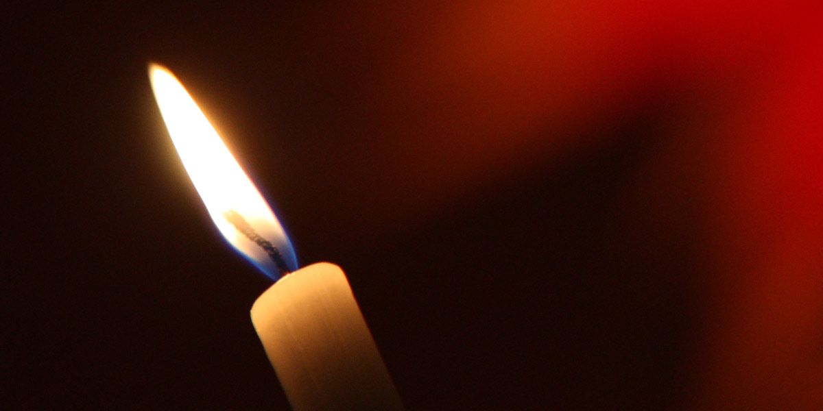 Read Light up a Life News