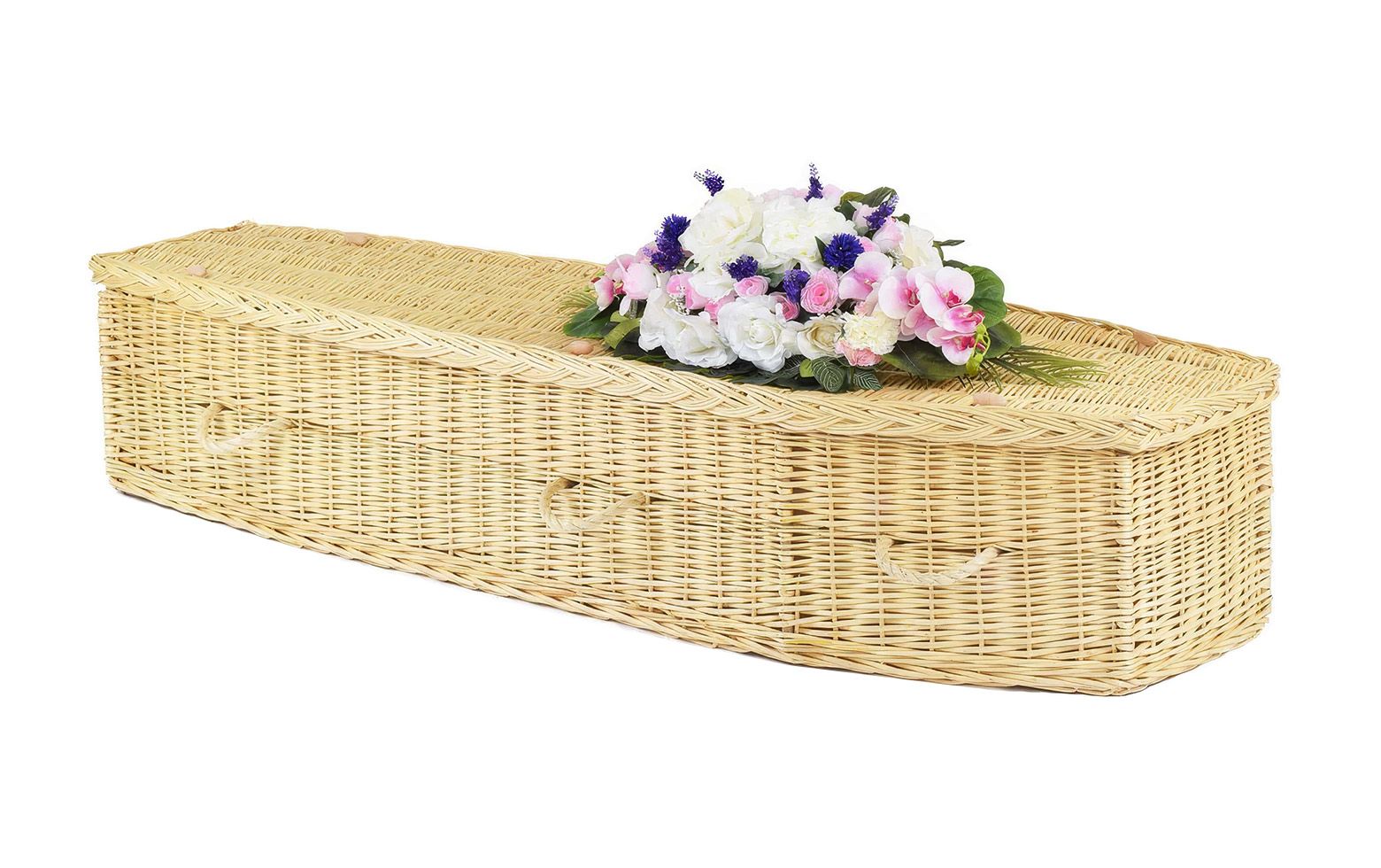 Light Willow Traditional