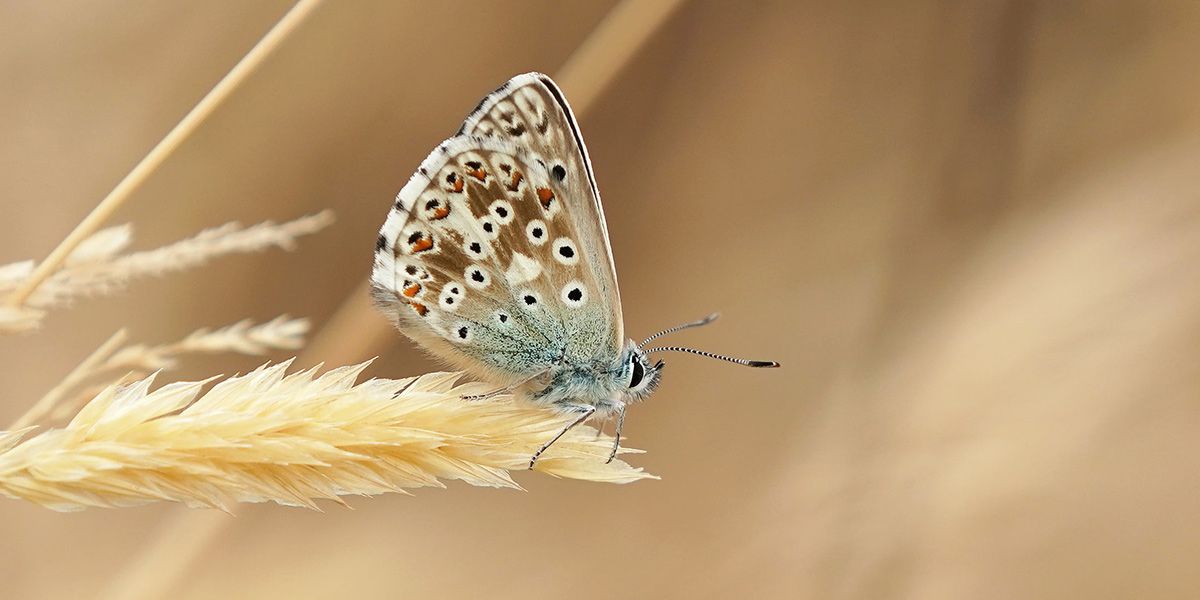 Read Bank Holiday Hours News