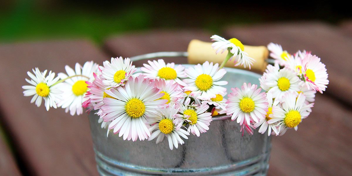 Read Bank Holiday Hours News