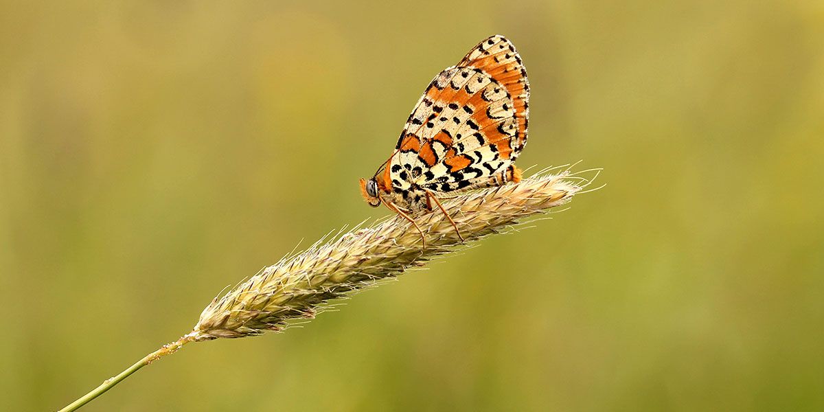 Read Bank Holiday Hours News