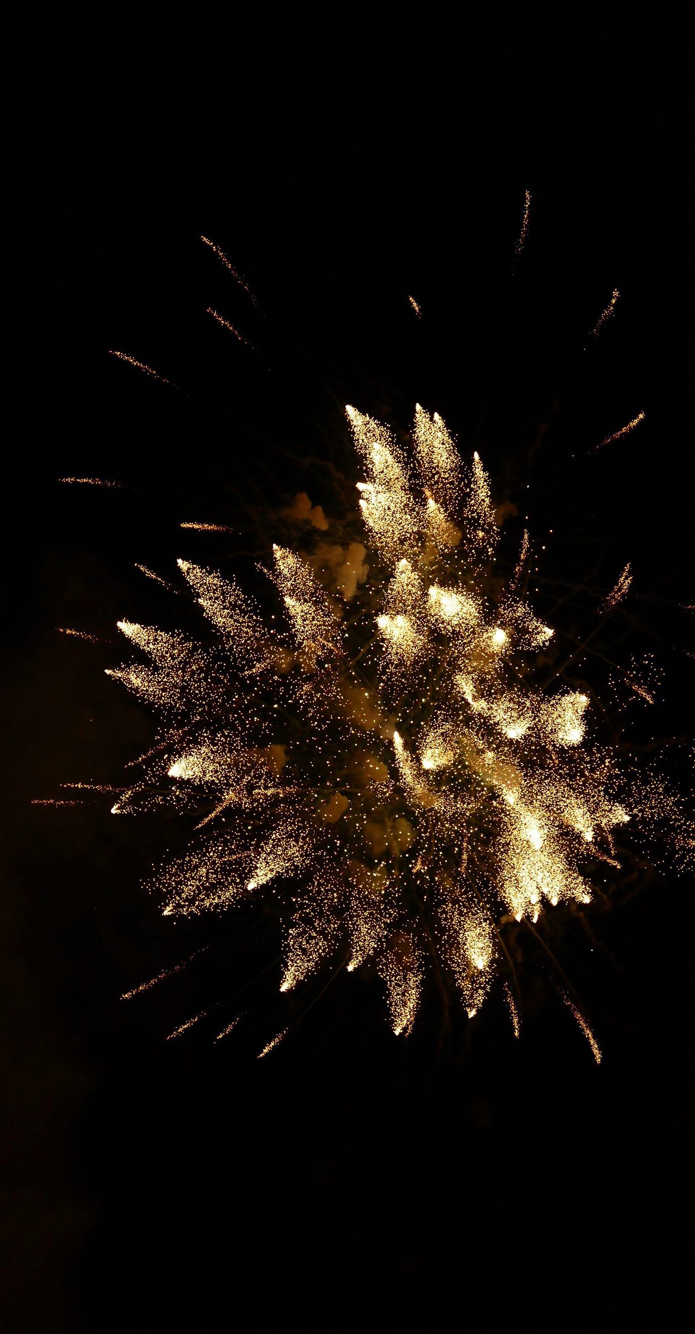 Memorial Fireworks