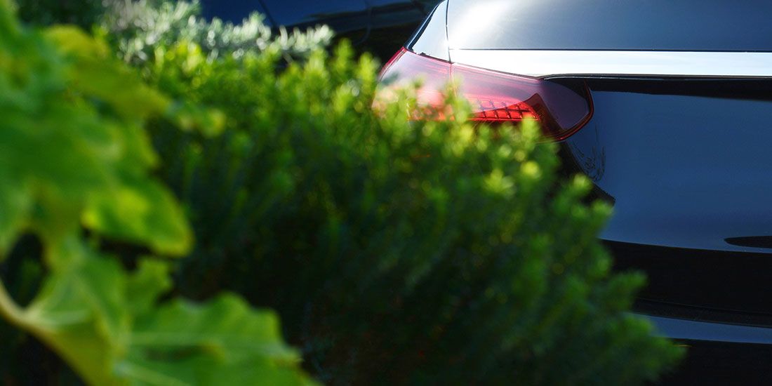 Read Our New Website News