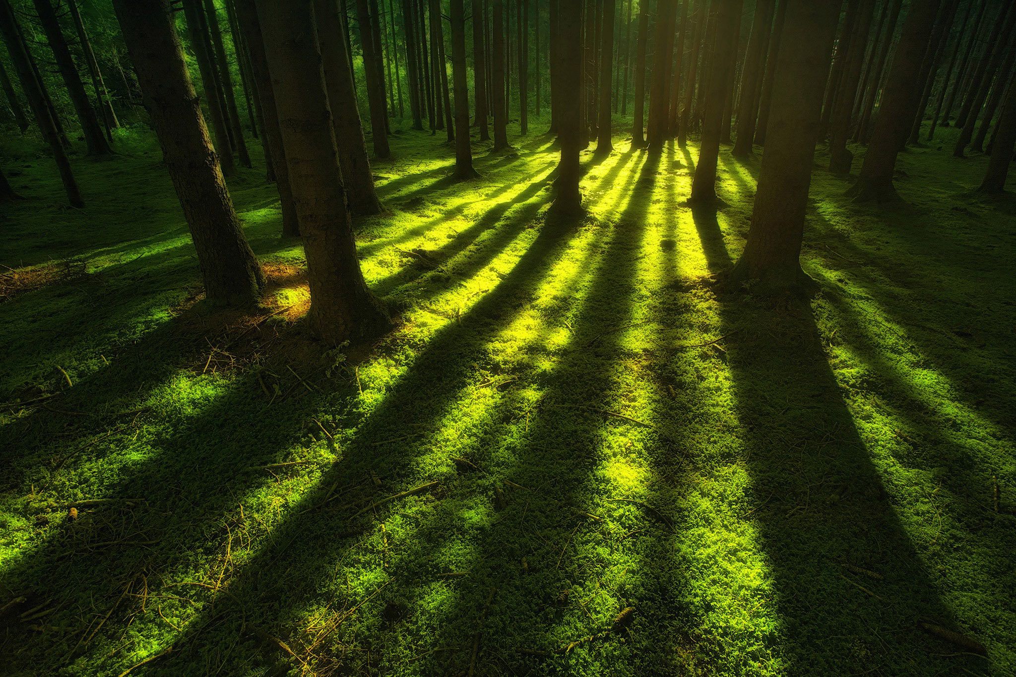 New Donation Platform