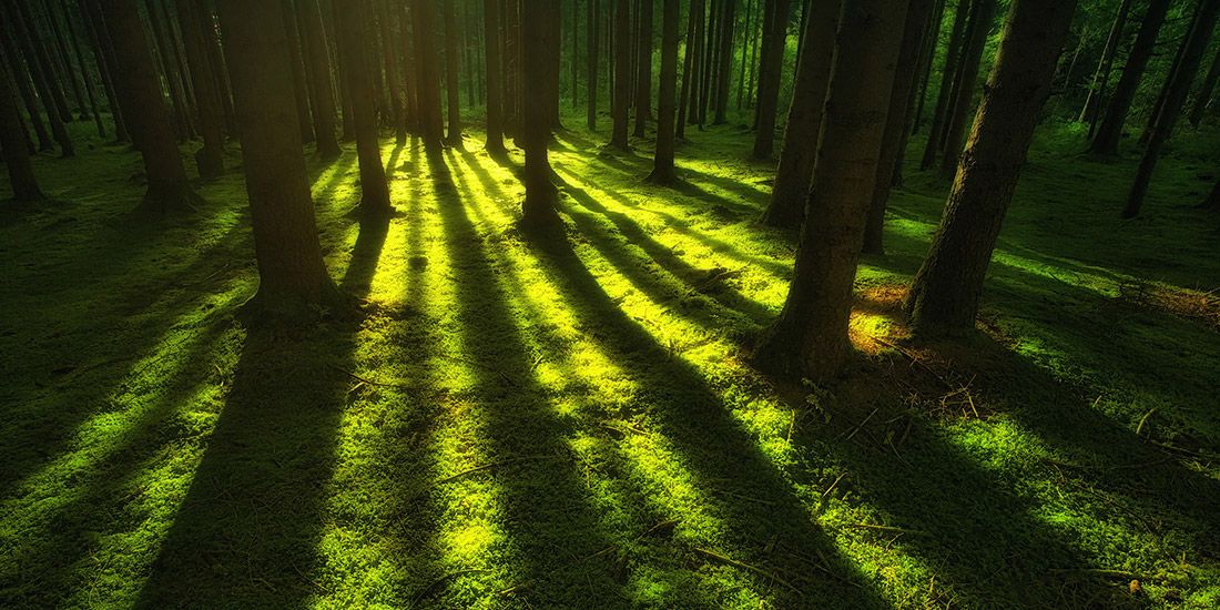 Read New Donation Platform News