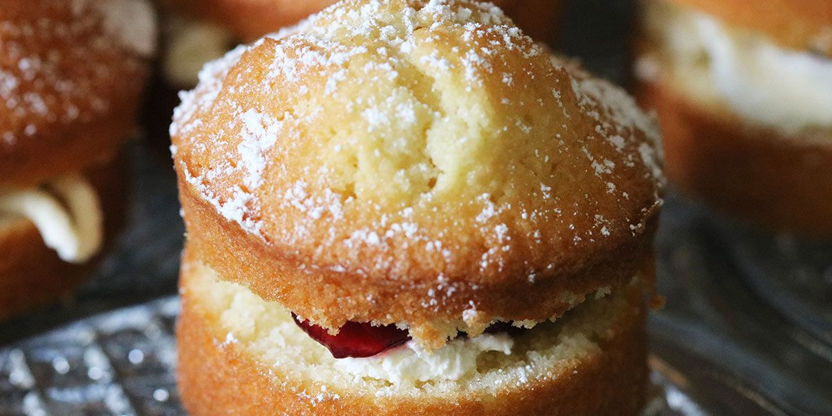 Read Meet the Team News