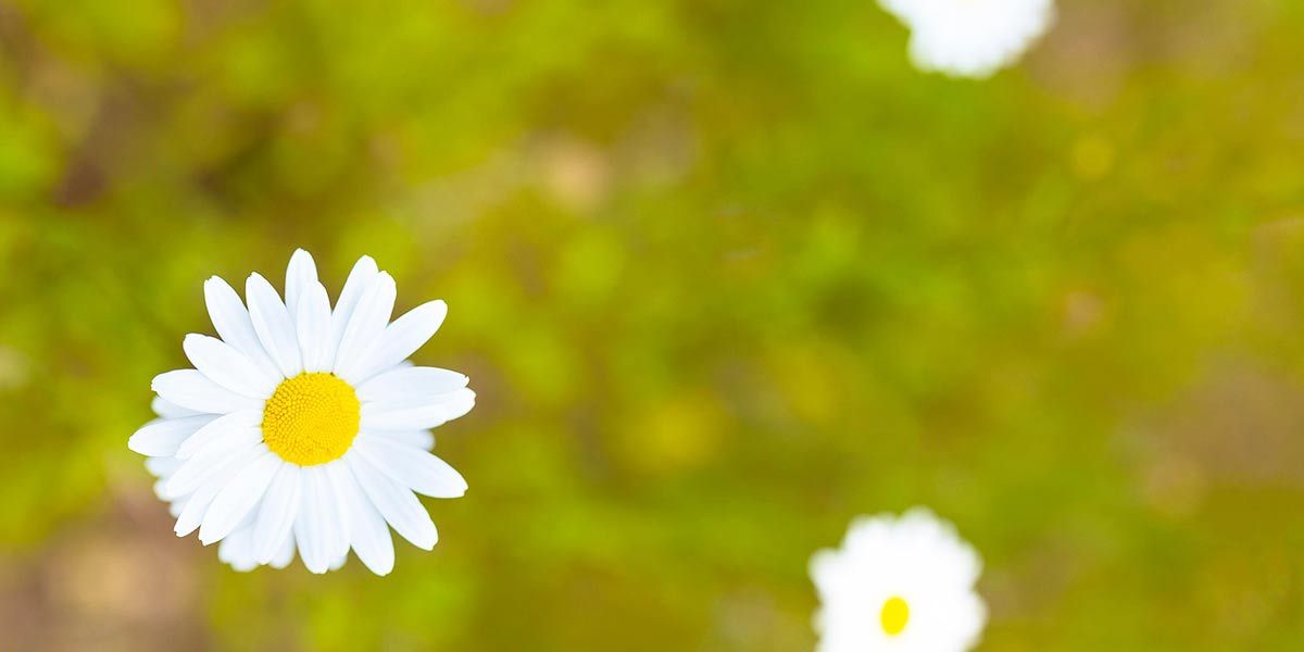 Read Summer Bank Holiday News