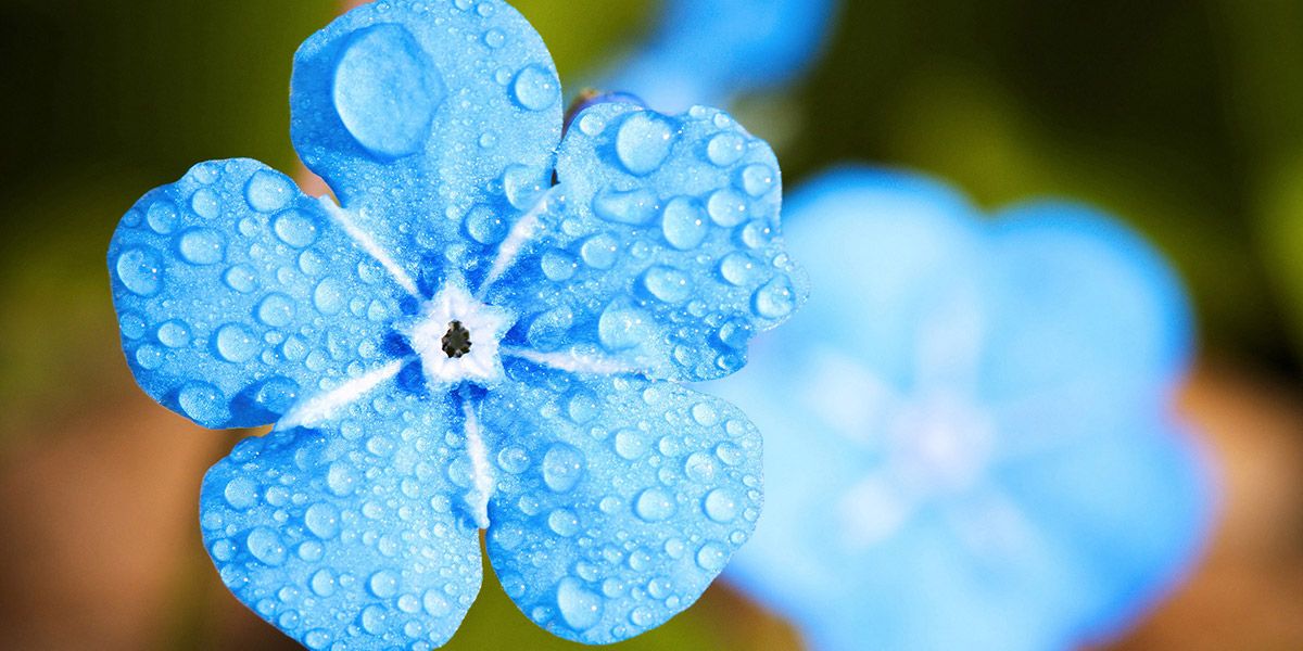 Read Bank Holiday Hours News