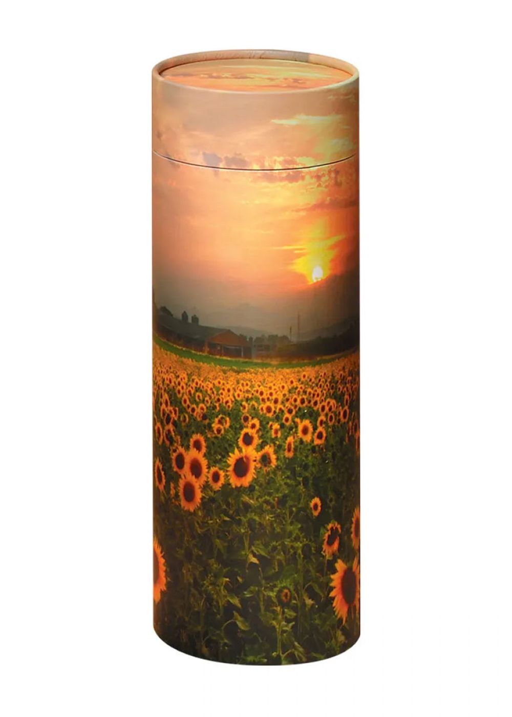 Sunflower Scatter Tube