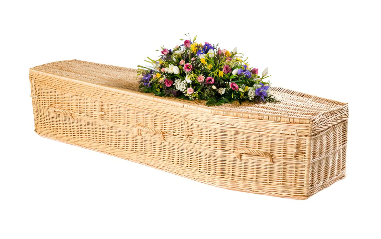 Highsted Willow Light Coffin