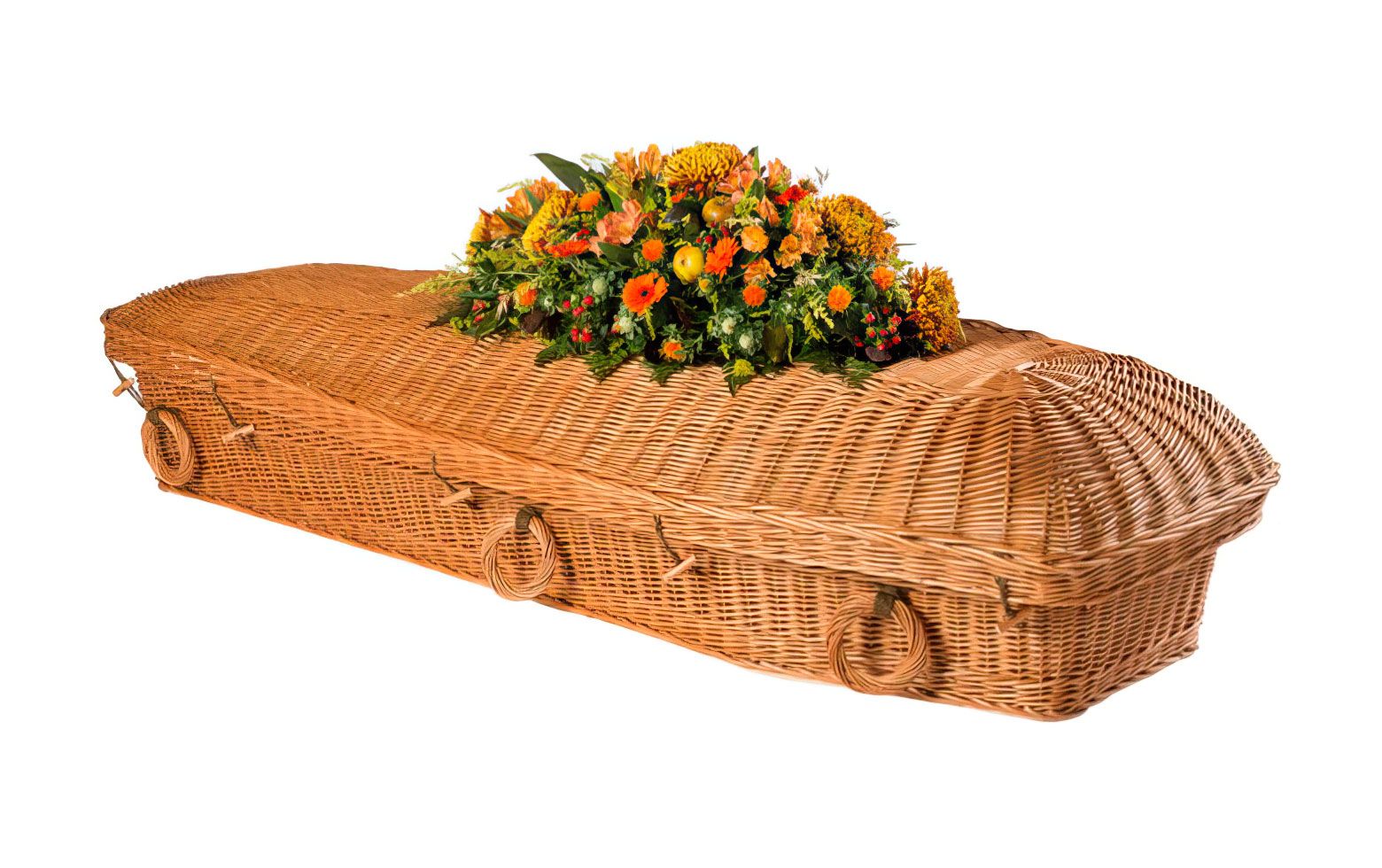 Willow Pod Natural Coffin