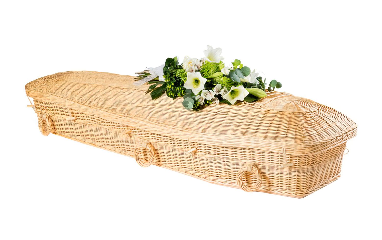 Willow Pod Light Coffin